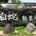 白蛇資料館の写真_784080