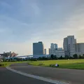 東京臨海広域防災公園 の写真_785042