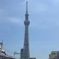 東京スカイツリーの写真_786070