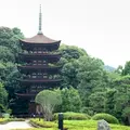 瑠璃光寺の写真_786647
