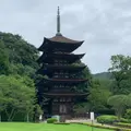 瑠璃光寺五重塔の写真_786649