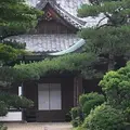 円照寺の写真_788779