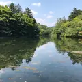 雲場池の写真_791027