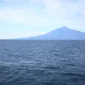 利尻島の写真_792592