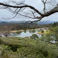 修学院離宮の写真_792627