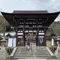 松尾大社の写真_792982