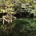 出流原弁天池の写真_793288