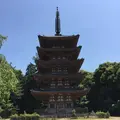 醍醐寺の写真_793633