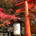 下鴨神社（賀茂御祖神社）の写真_793638