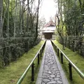 高桐院の写真_794017