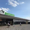 太田強戸PAの写真_795312