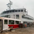 三津浜港の写真_795655