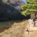 亀山公園の写真_795709
