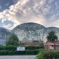 東京都夢の島熱帯植物館の写真_797009