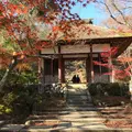 常寂光寺の写真_797115
