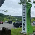 総合公園バンブージョイハイランドの写真_797492