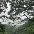 灰ヶ峰の写真_798361