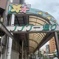 フラワー通りの写真_798419