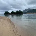 茶臼山の写真_798463