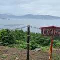 しびれ峠の写真_798469