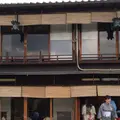 幾松の写真_799002