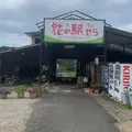 花の駅せらの写真_799038