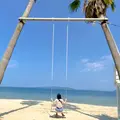 ヤシの木ブランコの写真_799069