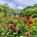 鎌倉文学館の写真_799540