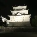 小田原城の写真_800924