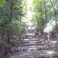 常照皇寺の写真_801375