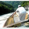 保津川下りの写真_801384