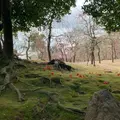 城南宮の写真_802909