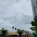 多々羅しまなみ公園の写真_803670