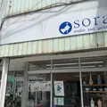 sora studio&galleryの写真_807153