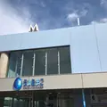 大分マリーンパレス水族館 うみたまごの写真_807158