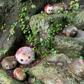 猫の細道の写真_807175