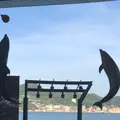 下関市立しものせき水族館・海響館の写真_807183