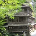 ゆずりはの写真_80759