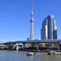 東京スカイツリーの写真_80831