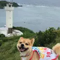 平久保崎の写真_808334