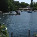 井の頭恩賜公園の写真_80839