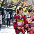夢京都の写真_80853