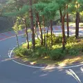 いろは坂の写真_80879