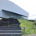鶴岡市立加茂水族館（クラゲドリーム館）の写真_808953