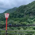 鬼怒楯岩大吊橋の写真_810477