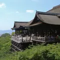 清水寺の写真_81141