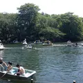 井の頭恩賜公園の写真_81345