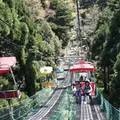 高尾山の写真_81384