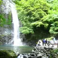 箕面の滝（箕面大滝）の写真_81500