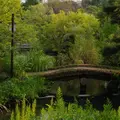 向島百花園の写真_81603